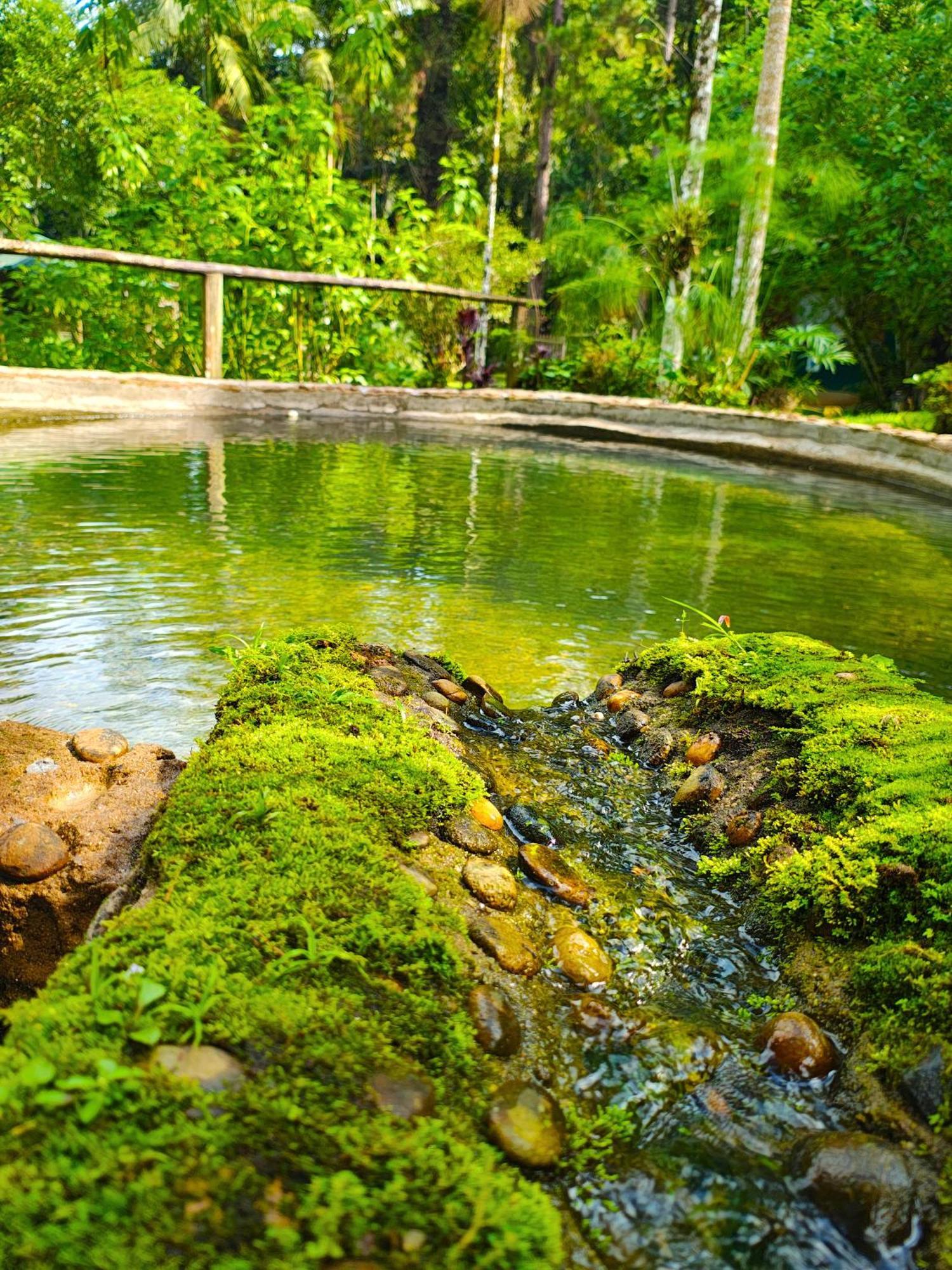Pousada Romântica Serra da Mata Penedo (Rio de Janeiro) Exterior foto